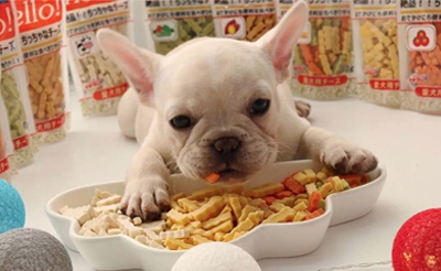 盘点常见的狗狗零食都有哪些？